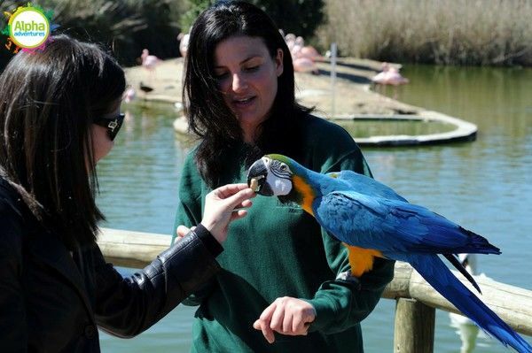 Bird park and Aquarium Tour